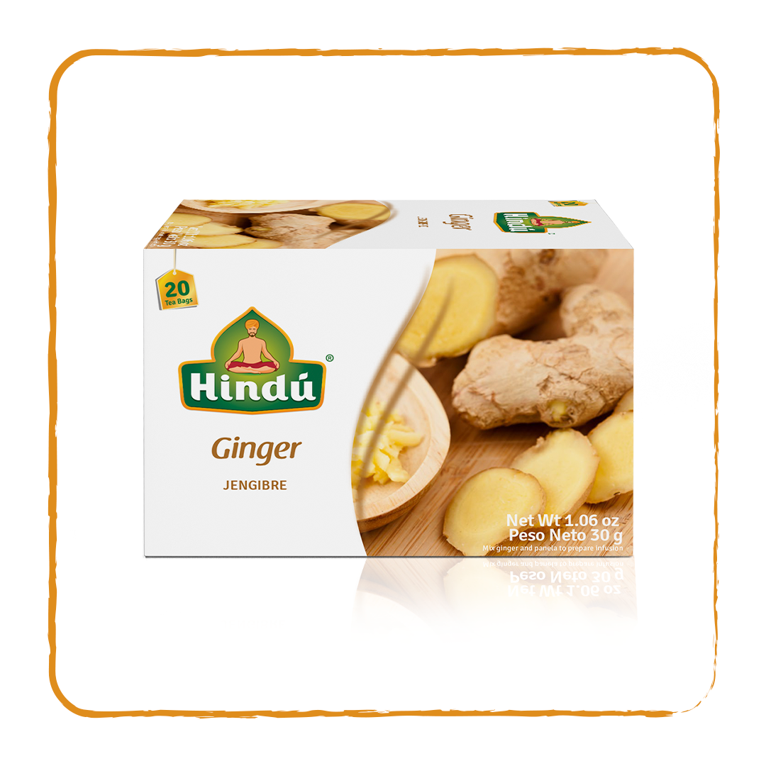 GINGER 1
